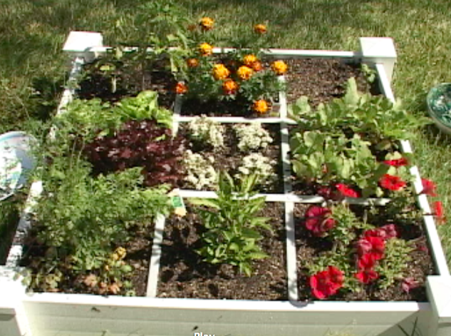 Grow Food Easily in a Square Foot Garden and Reduce Your Carbon Footprint